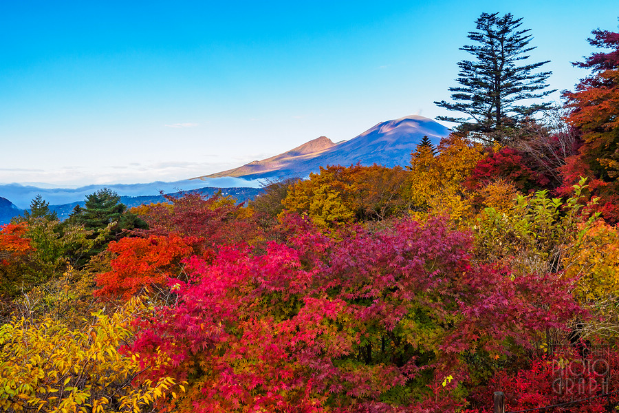 碓冰峠見晴台